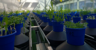 plant wps phenotyping modules overview systems automated